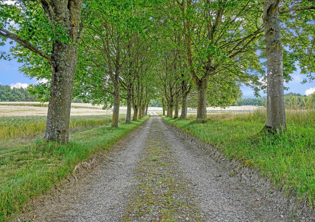 image 03